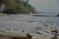 View north along the beach